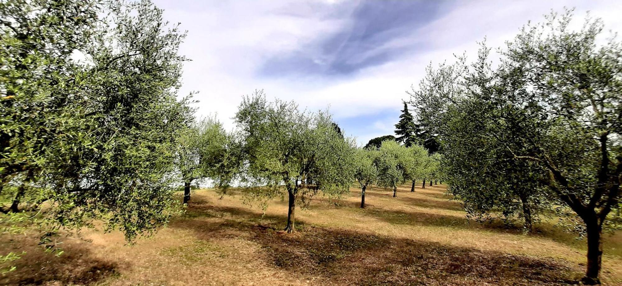 Room&Breakfast La Gramadora Castel San Pietro Terme Exterior photo